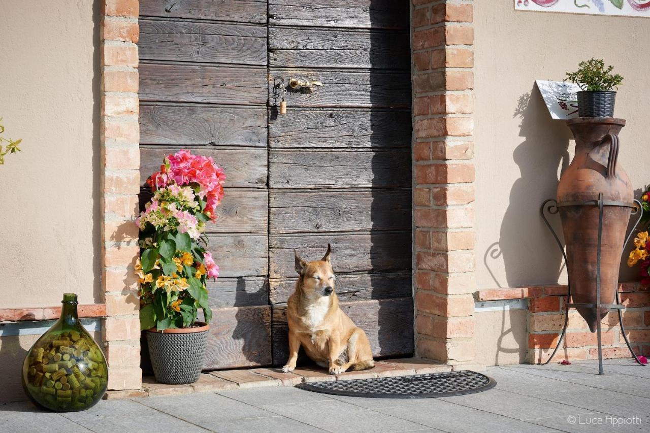 Гостевой дом Agriturismo Cascina Sciulun Монфорте-д'Альба Экстерьер фото