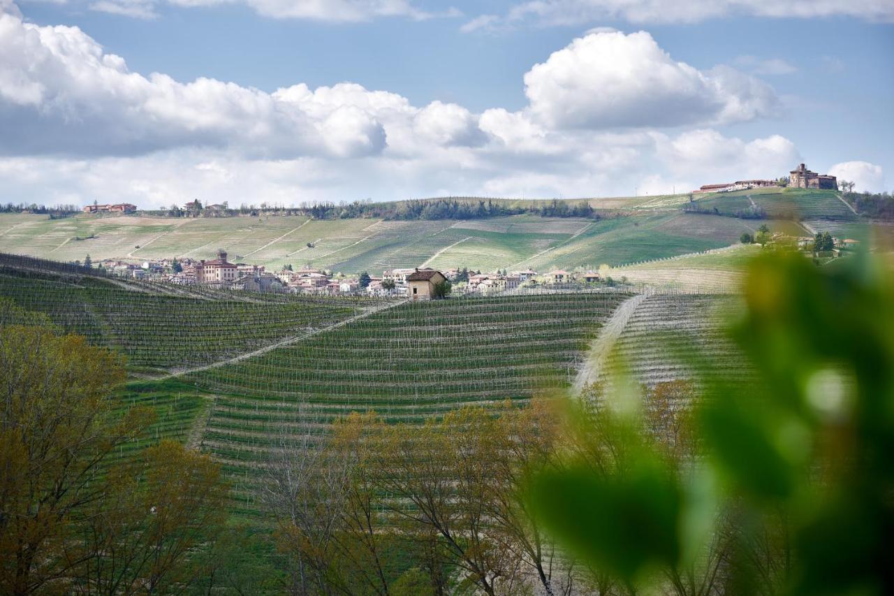 Гостевой дом Agriturismo Cascina Sciulun Монфорте-д'Альба Экстерьер фото