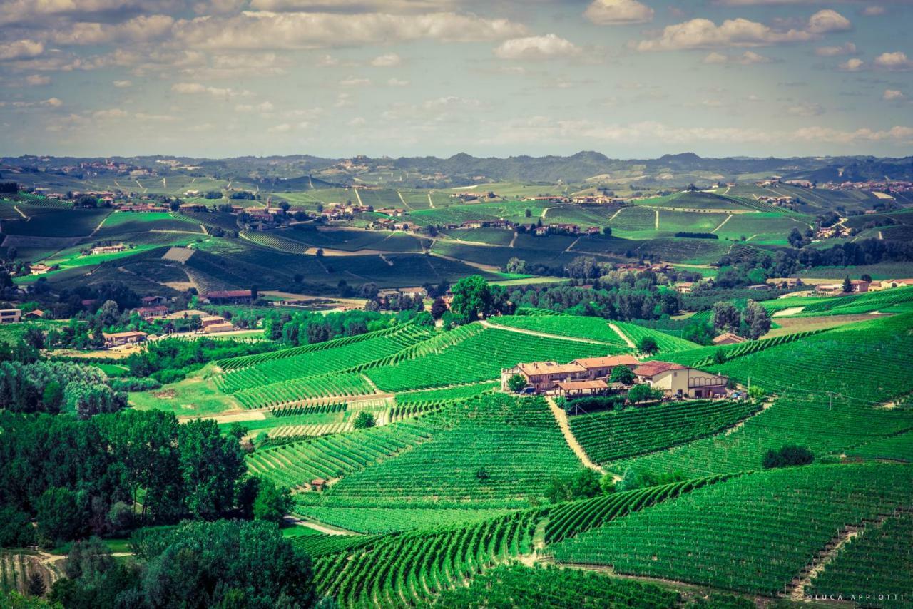 Гостевой дом Agriturismo Cascina Sciulun Монфорте-д'Альба Экстерьер фото