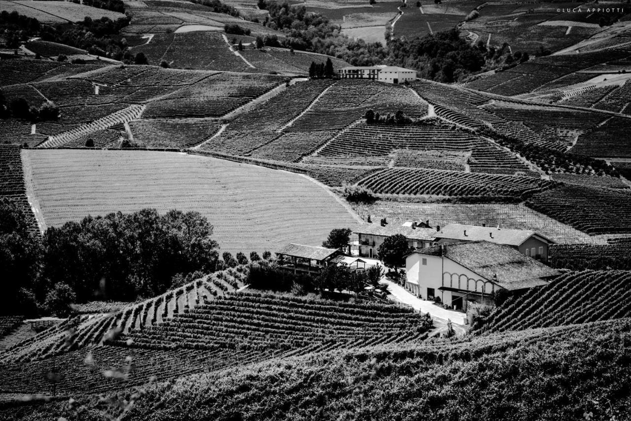 Гостевой дом Agriturismo Cascina Sciulun Монфорте-д'Альба Экстерьер фото